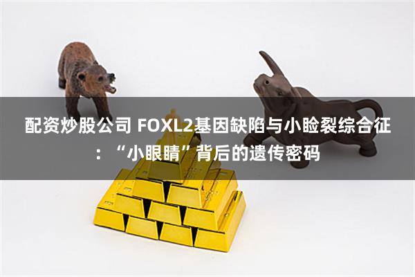 配资炒股公司 FOXL2基因缺陷与小睑裂综合征：“小眼睛”背后的遗传密码